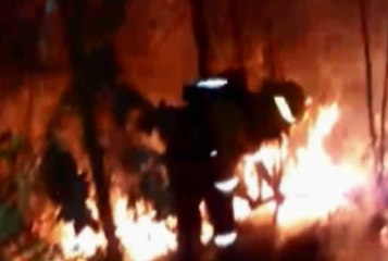 50 hectáreas fueron consumida por voraz incendio registrado en Quito