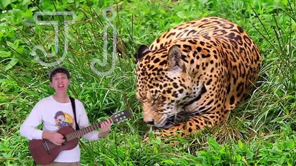 Animal Alphabet Phonics Song For Kids | Wild Animals | Learn English Children