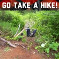 We all have that one friend who always tries to make you go hiking!