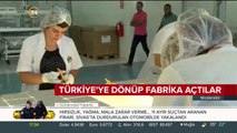 Türkiye'ye dönüp fabrika açtılar