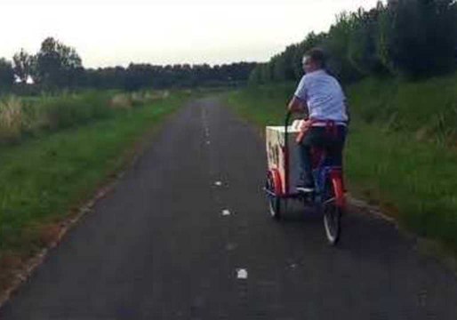 Dutch Cows Moo-ved by Ice Cream Man Passing Their Field