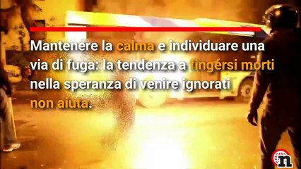 Da Londra una guida su come sopravvivere alle stragi | Notizie.it