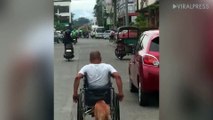 Pet Dog Pushes Disabled Owner In Wheelchair