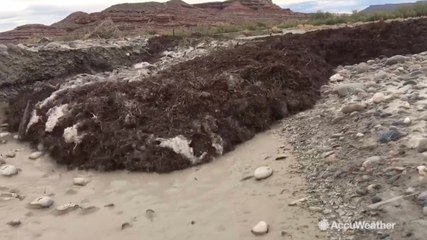 Watch flash flood in Utah roar right up to storm chaser Reed Timmer's camera