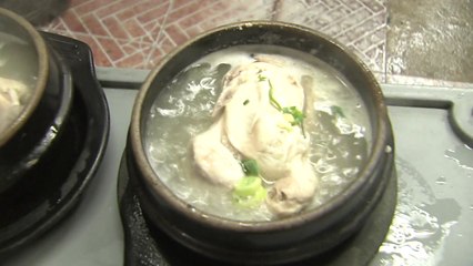 오늘 초복...삼계탕 조리할 때 캠필로박터 식중독 조심 / YTN