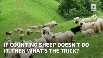 7 Cures for Insomnia