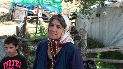 3 yaşındaki kayıp Evrim'i arama çalışmaları sürüyor - TOKAT