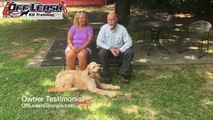 Video Testimonial | Goldendoodle | Off Leash K9 Training, Georgia
