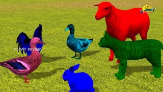 Learn colors lesson with Monkey Nursery children learning colors with 3d Shot Tutorial