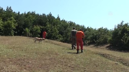 3 Yaşındaki Kayıp Evrim'i Arama Çalışmaları Sürüyor