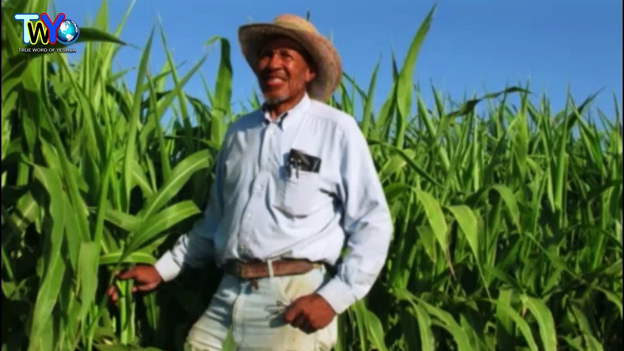 Dr. Jamal H. Bryant, STOP SPITTING OUT SUNFLOWER SEEDS - July 15th 2018