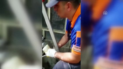 Su kuyusuna düşen kedi yavrusunu AFAD ekipleri kurtardı -KONYA