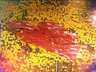 حب كرة القدم يستحيل روحاً رياضية سامية - فيديو Dailymotion