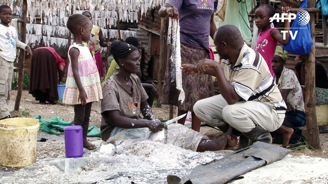 Le cuir de poisson, le pari fou d'un tanneur kenyan