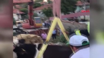Denizli Çatıya Çıkıp Mahsur Kalan İnek Vinçle İndirildi