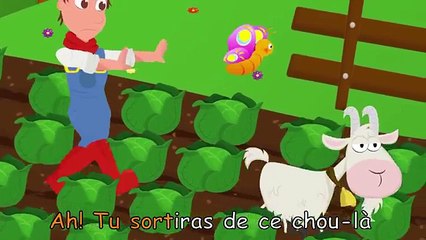 biquette biquette tu sortiras de ce choix là - comptine animaux de la ferme