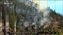 [이시각 세계] 美 요세미티 나흘째 산불…1명 사망·도로 폐쇄