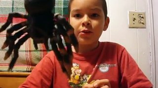 Giant Spider Attacks Kids!