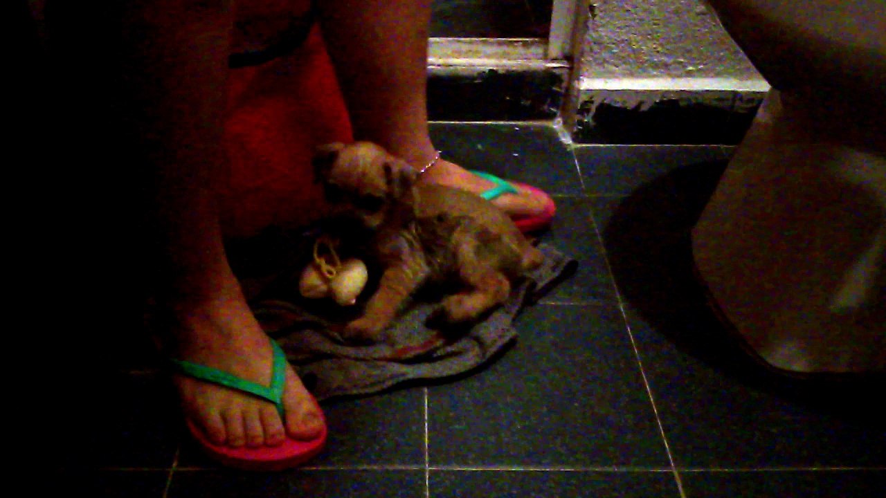 VIDEO0072