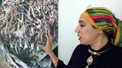 "أرض الفيروز" معرض فنى مصور يعبر عن البيئة السيناوية فى جامعة العريش