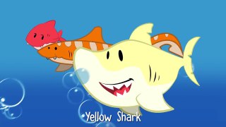 Rainbow Shark | Childrens and Kids Songs | Little Twinkle Bus