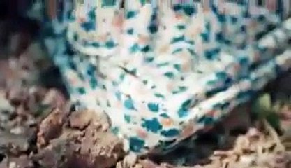 مسلسل العهد sö# الحلقة 4 القسم 1 مترجمة للعربية