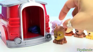 Paw Patrol Pups Lose Their Clothes Marshalls Magical Pup House