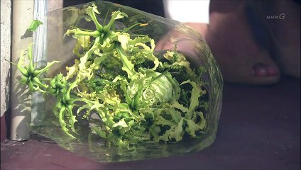 ガラスの家 8 (2)