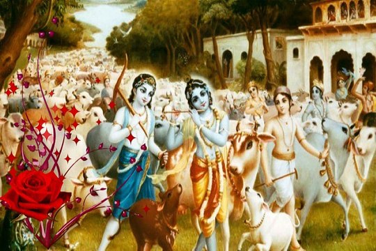 Top Lord Krishna Wishes Messages Greetings Ecards Images Photos Pics Wallpapers Pictures Collection#3