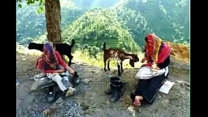 pashto afghani tapy 2015 song