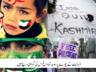 This Video Shows the Reality of India and Narendra Modi