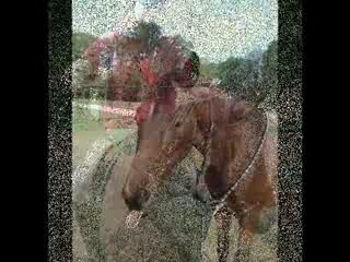 Julie tout simplement elle