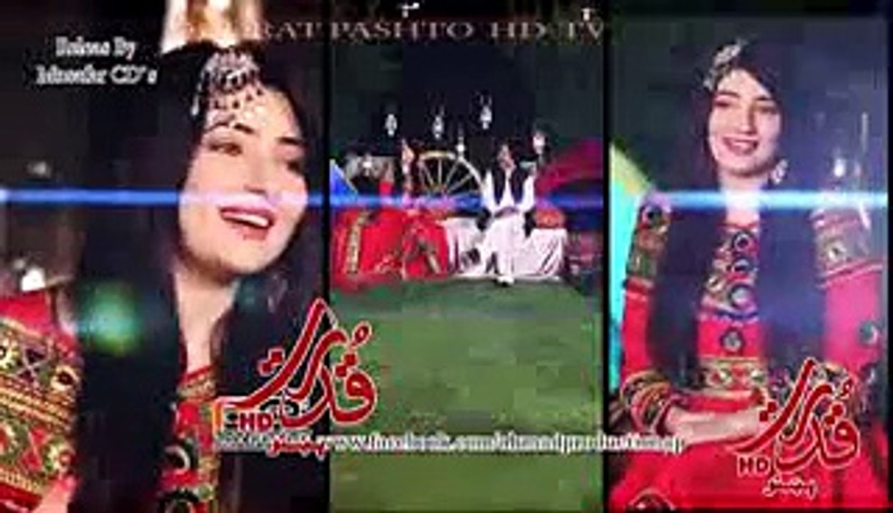 Gul Panra