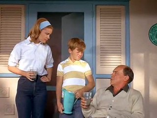 Flipper ( 1964 )  S01E24