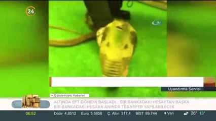 Antalya'da kobra ısıran Aref, Mısır'a gönderildi