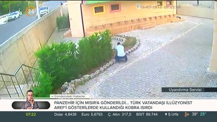 Cami bahçesindeki 31 fidan neden kesildi?