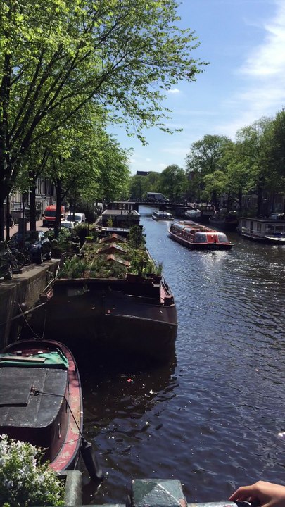 elza et tom à amsterdam