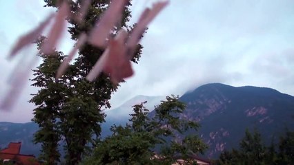 1 HOUR RELAXING WIND CHIMES OF SHELLS | ZEN MUSIC HD