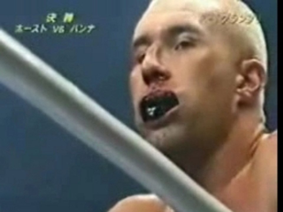 Ernesto Hoost Vs. Jerome le Banner