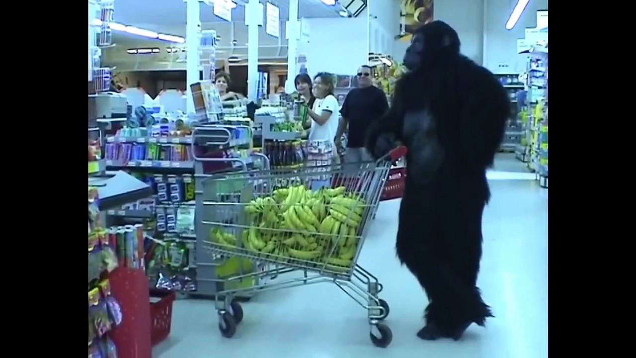 The Most Famous Pranker || Prank video