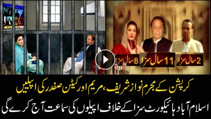 IHC will hold the hearing against Sharifs' conviction today