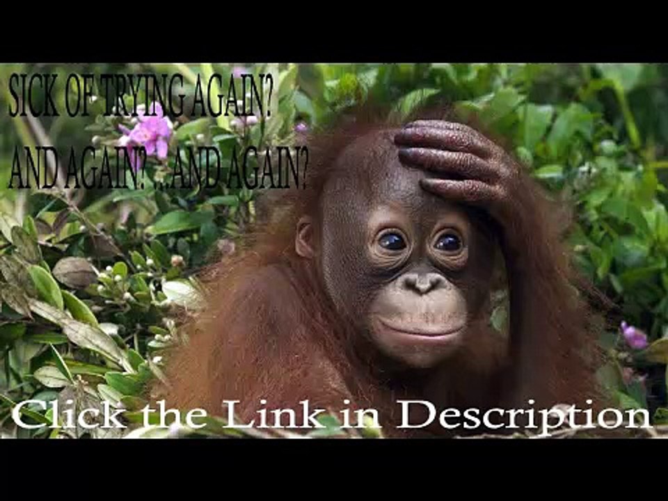 Ever wondered how to get expired domains and earn $$$?