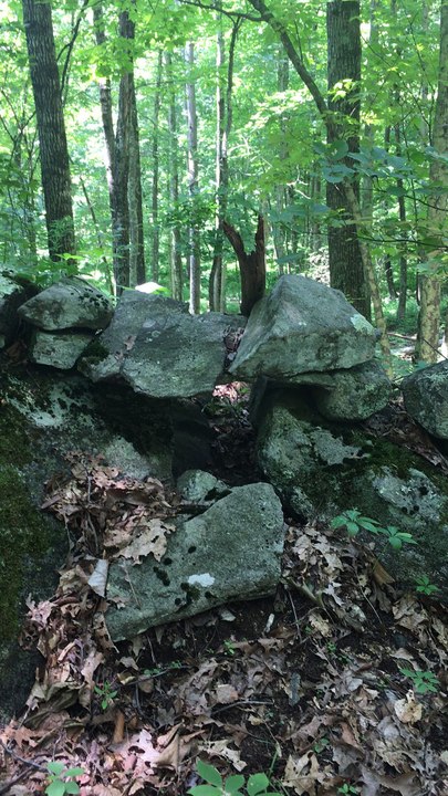 Brian Ghilliotti: Noticing gaps in stone wall near perched stone. Archeo-astonomical significance?