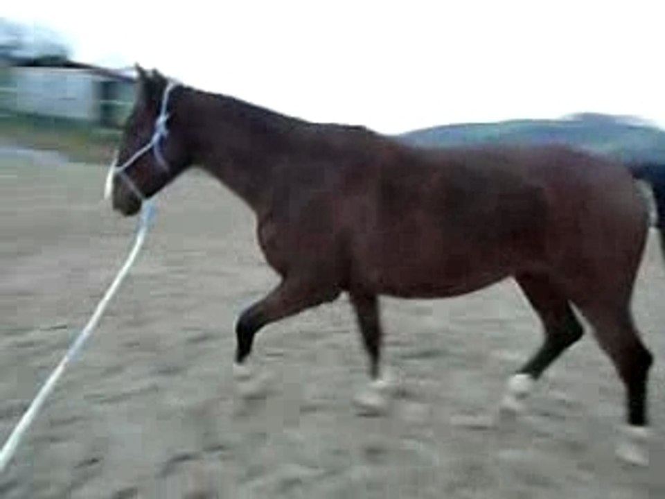 P1000014