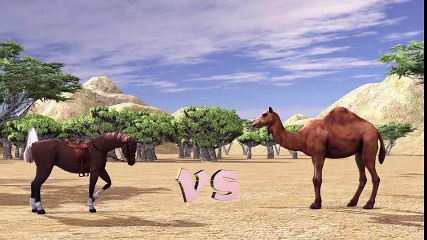 Animals_Race_-_Horse_vs_Camel_Animal_Running_Race_