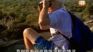 Snake Documentary Realm Of The Mugger Crocodile - Nature Documentary