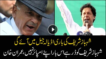 Now it's Shehbaz Sharif's turn to go to Adiala Jail: Imran Khan