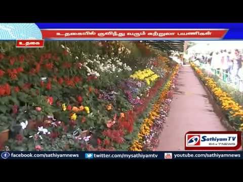 The tourists are flooding to Ooty on behalf of summer