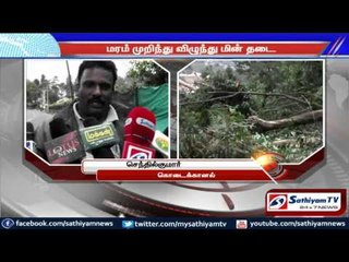 Tree collapsed, electrical line cut: Kodaikanal