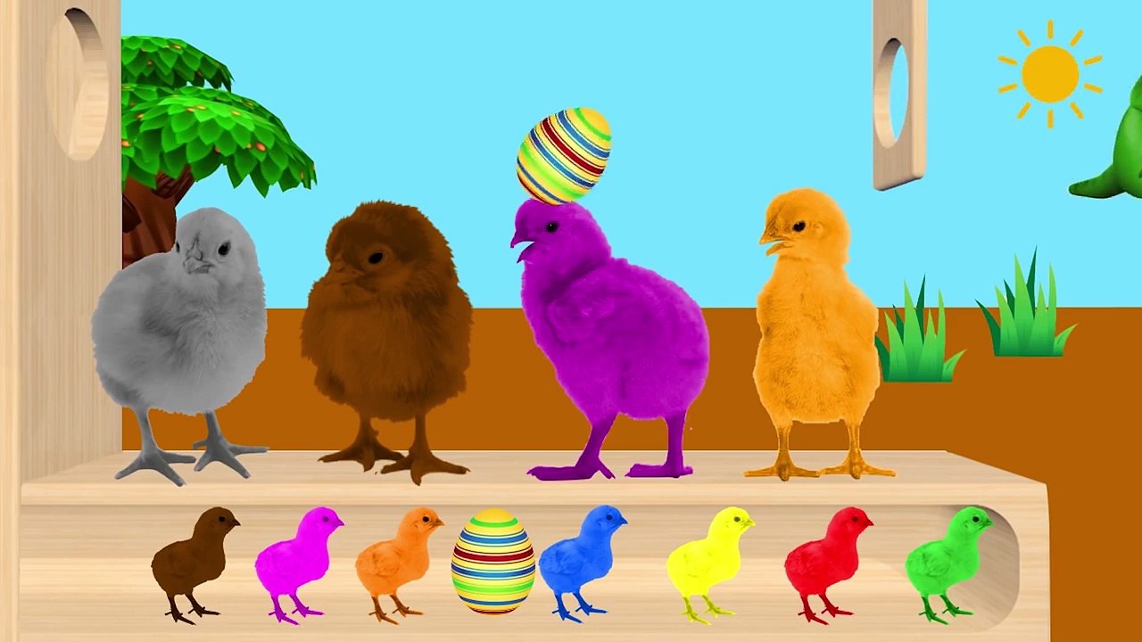 Learn Color With Chicks Animals Xylophone Funny ! Colours With Chicks for Kids